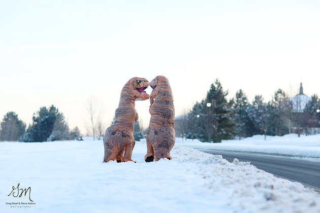 Os fotógrafos profissionais Greg Basel e Maria Adams decidiram fazer um ensaio pré-casamento um pouco diferente para espalhar diversão por aí. Para isso, eles resolveram que iriam fotografar dois T-Rexs em momentos super românticos