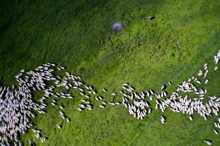 As melhores fotos de drone de 2016