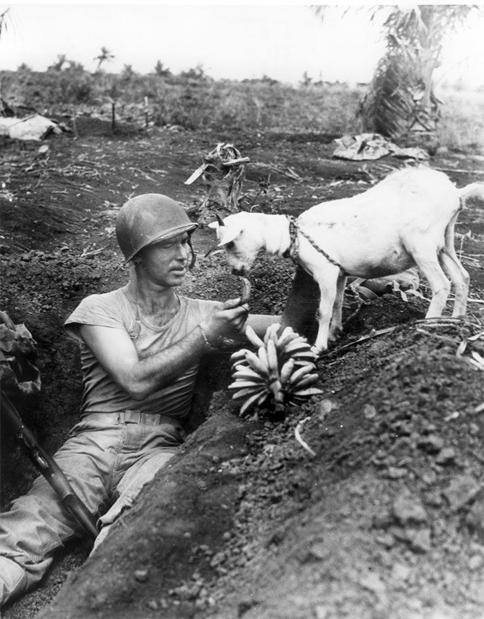 Fotos históricas para aquecer o coração