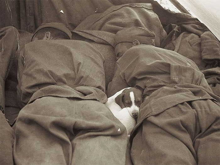 Fotos históricas para aquecer o coração