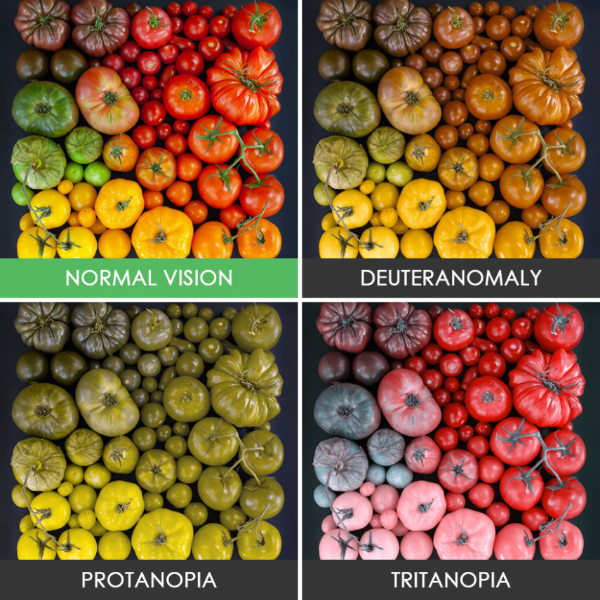 Entenda como diferentes tipos de daltonismo podem alterar a percepção de cores de um indivíduo