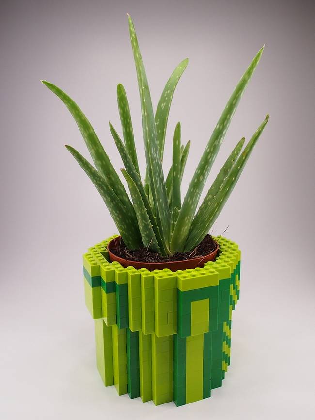 Vaso de plantas