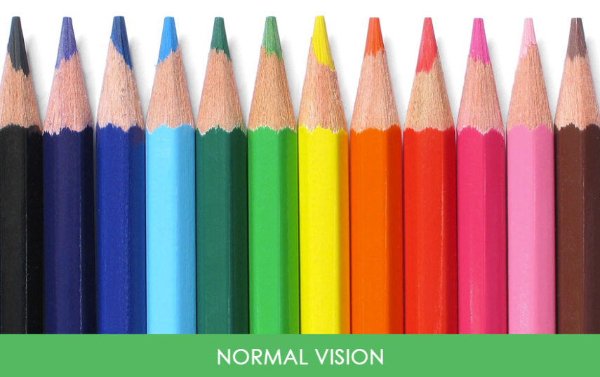 Entenda como diferentes tipos de daltonismo podem alterar a percepção de cores de um indivíduo