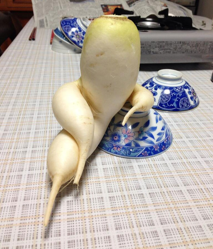 É uma bicho? Uma pessoa? Pior: este alimento está tentando se comunicar comigo? Formatos divertidos dão vida a frutas e vegetais do cotidiano