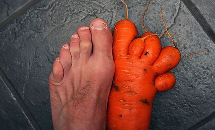 É uma bicho? Uma pessoa? Pior: este alimento está tentando se comunicar comigo? Formatos divertidos dão vida a frutas e vegetais do cotidiano