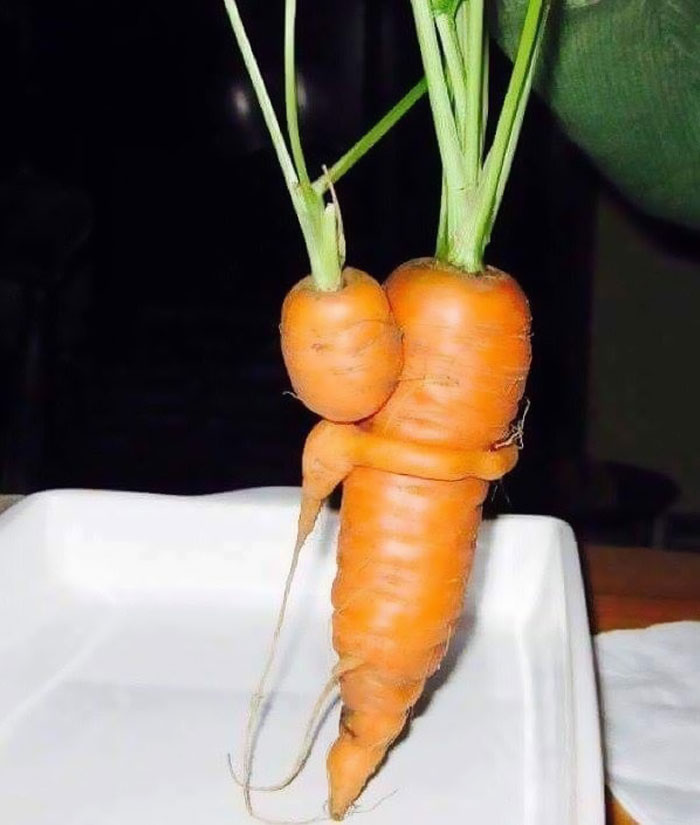 É uma bicho? Uma pessoa? Pior: este alimento está tentando se comunicar comigo? Formatos divertidos dão vida a frutas e vegetais do cotidiano