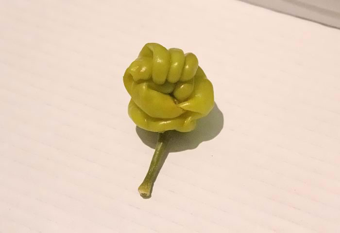 É uma bicho? Uma pessoa? Pior: este alimento está tentando se comunicar comigo? Formatos divertidos dão vida a frutas e vegetais do cotidiano