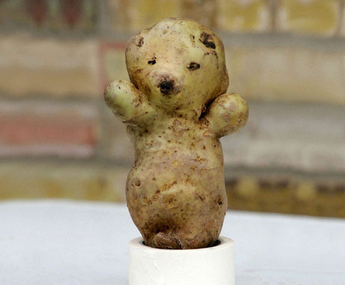 É uma bicho? Uma pessoa? Pior: este alimento está tentando se comunicar comigo? Formatos divertidos dão vida a frutas e vegetais do cotidiano