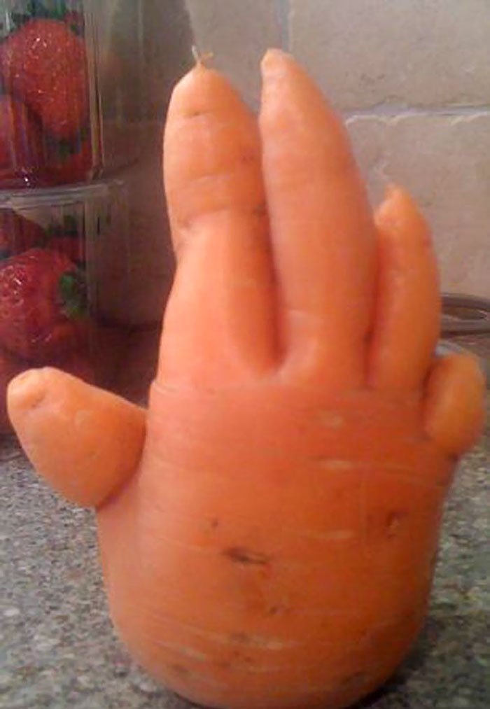 É uma bicho? Uma pessoa? Pior: este alimento está tentando se comunicar comigo? Formatos divertidos dão vida a frutas e vegetais do cotidiano