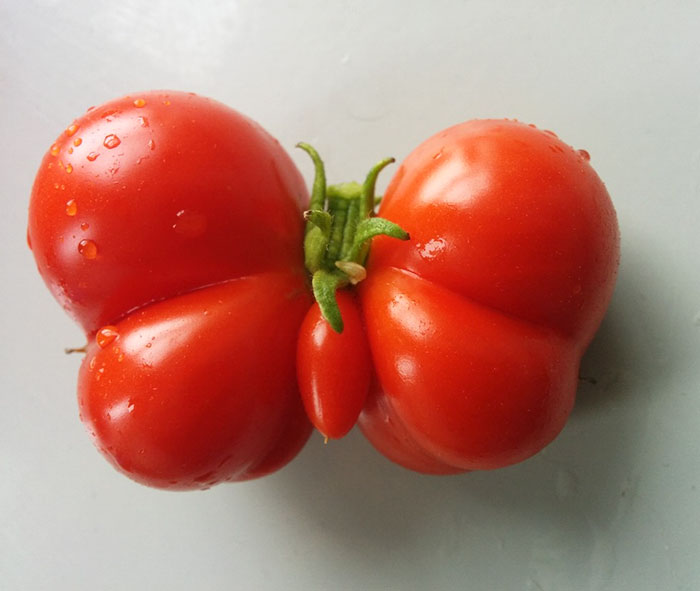 É uma bicho? Uma pessoa? Pior: este alimento está tentando se comunicar comigo? Formatos divertidos dão vida a frutas e vegetais do cotidiano