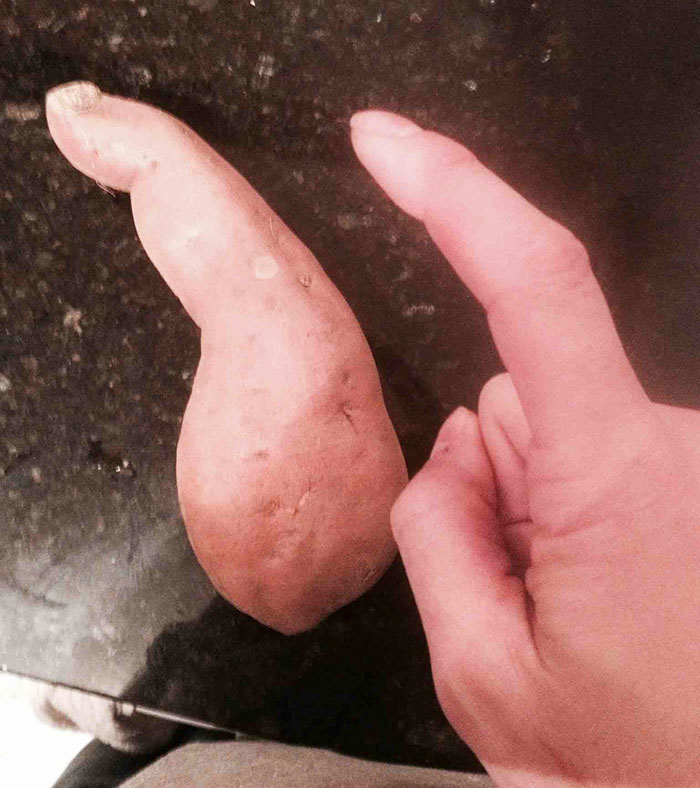 É uma bicho? Uma pessoa? Pior: este alimento está tentando se comunicar comigo? Formatos divertidos dão vida a frutas e vegetais do cotidiano