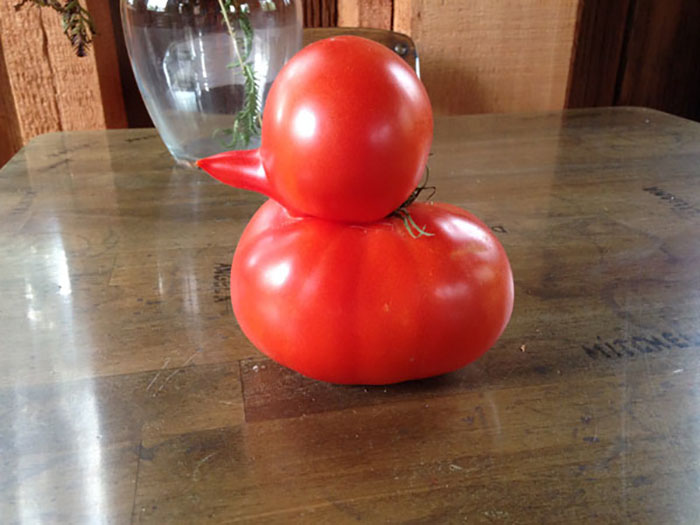 É uma bicho? Uma pessoa? Pior: este alimento está tentando se comunicar comigo? Formatos divertidos dão vida a frutas e vegetais do cotidiano