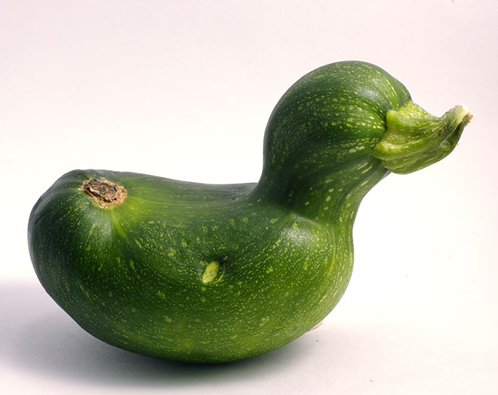 É uma bicho? Uma pessoa? Pior: este alimento está tentando se comunicar comigo? Formatos divertidos dão vida a frutas e vegetais do cotidiano