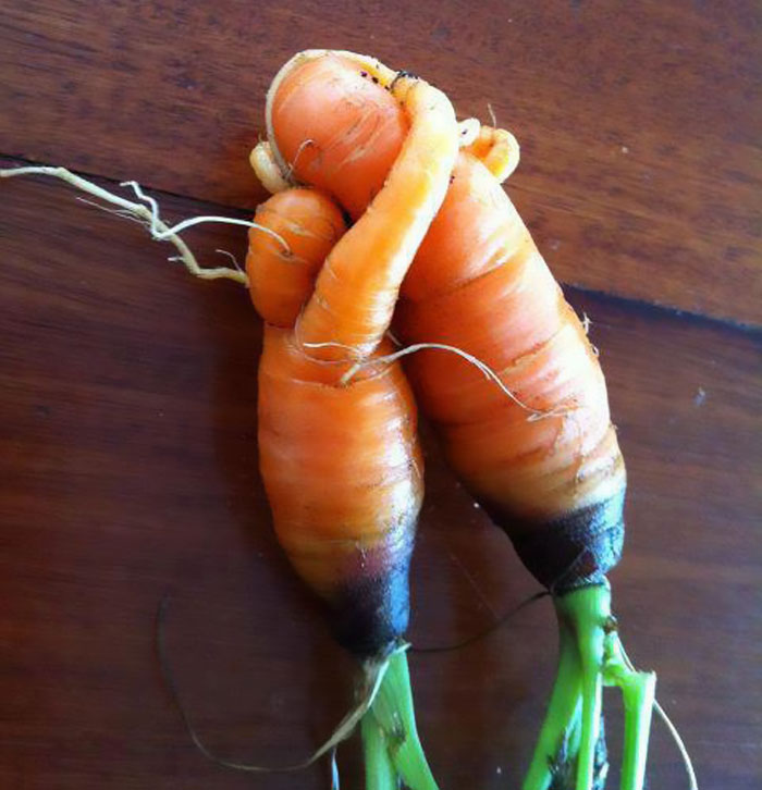 É uma bicho? Uma pessoa? Pior: este alimento está tentando se comunicar comigo? Formatos divertidos dão vida a frutas e vegetais do cotidiano