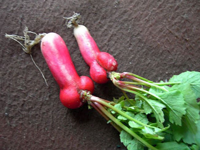 É uma bicho? Uma pessoa? Pior: este alimento está tentando se comunicar comigo? Formatos divertidos dão vida a frutas e vegetais do cotidiano
