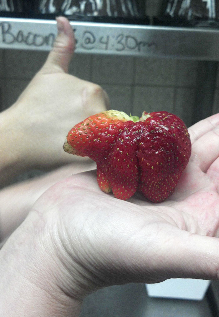 É uma bicho? Uma pessoa? Pior: este alimento está tentando se comunicar comigo? Formatos divertidos dão vida a frutas e vegetais do cotidiano
