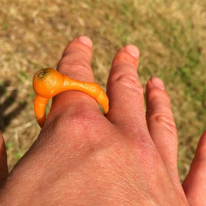 É uma bicho? Uma pessoa? Pior: este alimento está tentando se comunicar comigo? Formatos divertidos dão vida a frutas e vegetais do cotidiano