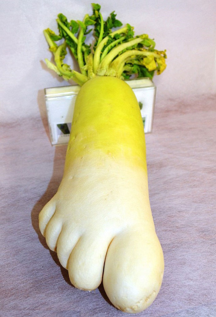 É uma bicho? Uma pessoa? Pior: este alimento está tentando se comunicar comigo? Formatos divertidos dão vida a frutas e vegetais do cotidiano