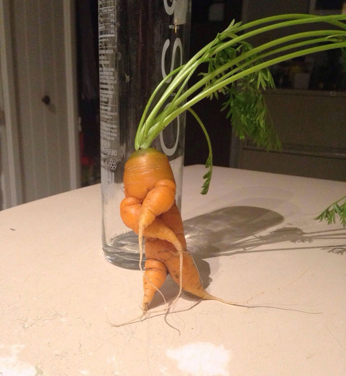 É uma bicho? Uma pessoa? Pior: este alimento está tentando se comunicar comigo? Formatos divertidos dão vida a frutas e vegetais do cotidiano