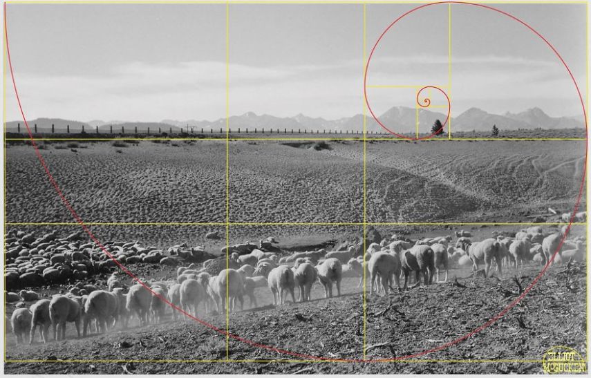 Imagens de Ansel Adams analisadas pela proporção áurea