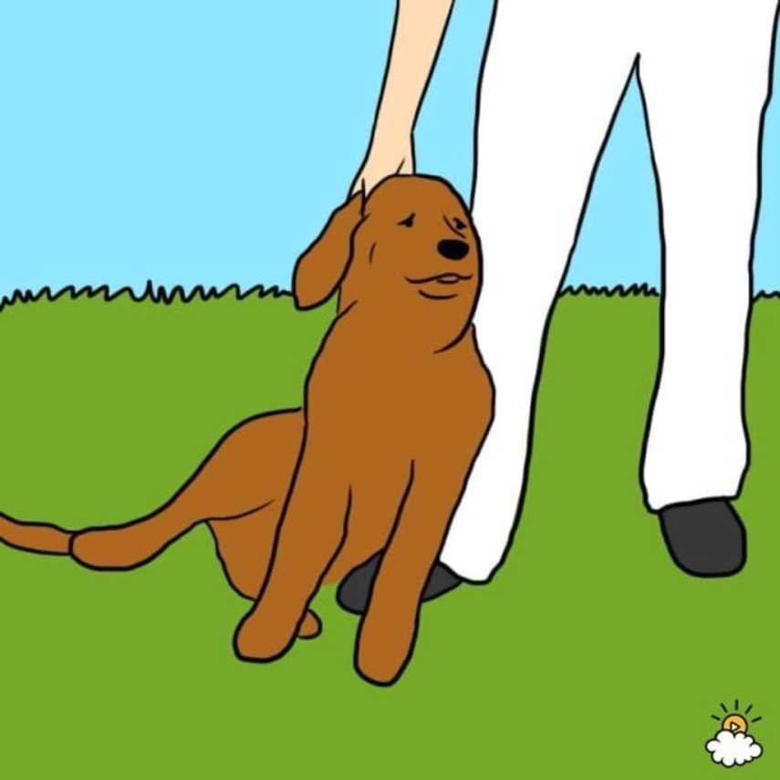Se seu cão senta ao seu lado e joga seu peso contra você, é provável que ele esteja dizendo que gostaria de mais abraços, por favor! De acordo com VetStreet, este é o comportamento de buscar carinho, puro e simples.