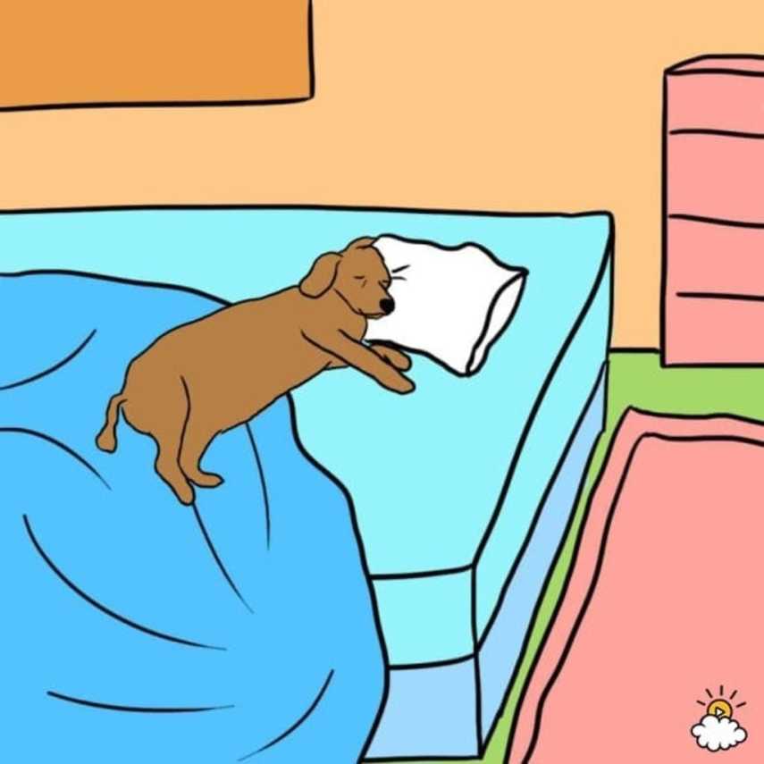 Quando você vai trabalhar de manhã e deixa seu cão sozinho, o seu coração dói, mas não se preocupe muito. Há uma boa chance de seu cachorro deitar perto da sua cama ou nela e se aconchegar para uma soneca. Você pode preferir menos pelos em sua cama ou sofá, mas de acordo com o Wall Street Journal, é apenas a forma do seu cão de mantê-lo próximo mesmo que você estiver longe de casa.