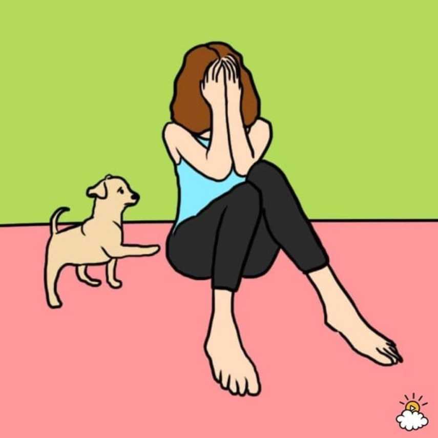 Seres humanos e cães vivem juntos há 15 mil anos. Não é surpreendente que eles tenham aprendido quando estamos infelizes ou não com base em nossa linguagem corporal e cheiro. Eles adoram nos consolar e mostrar a empatia com a nossa tristeza.