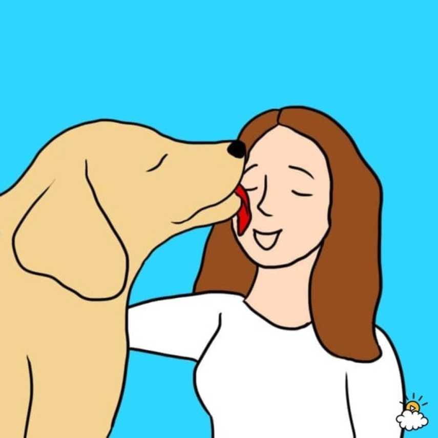 Cães gostam de lamber seus humanos favorito, quer queiramos ou não! E há algumas boas razões para isso. De acordo com minha Dog House, lamber seus pés repetidamente pode aliviar o stress do seu cãozinho porque é um comportamento de submissão em relação ao líder da matilha. É também um sinal de amor maternal, seu cão pensa que é seu filho também!