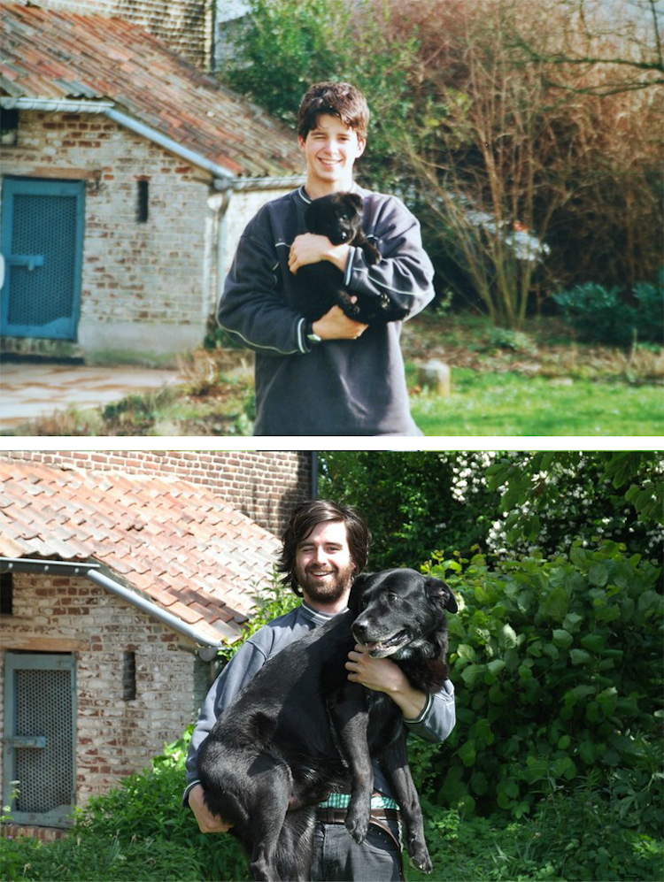 Série mostra antes e depois de cachorros