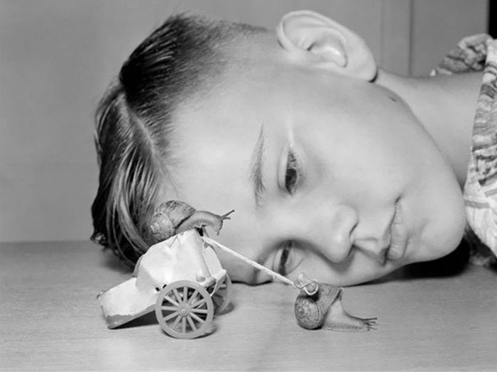 Martin Witter, 10 anos, brinca com caracóis em sua casa na Califórnia, 1954