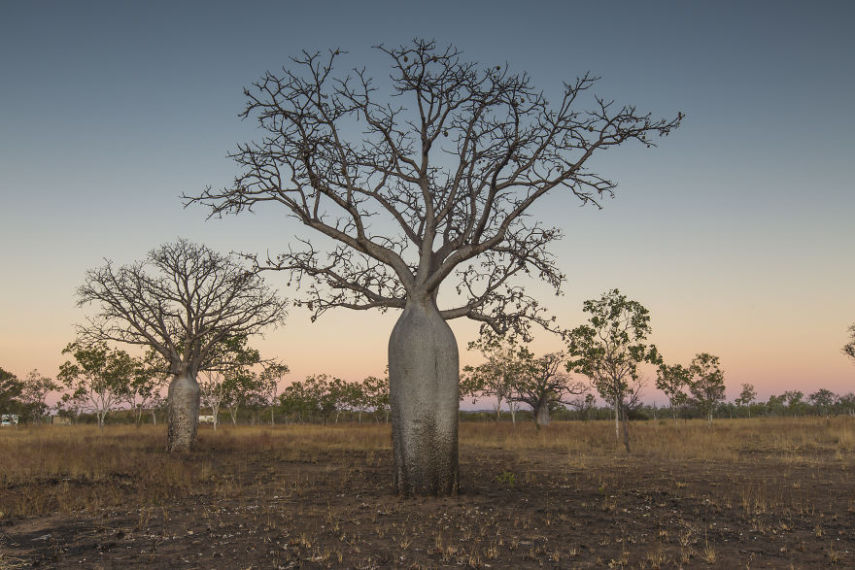 Tom Rex Jessett é um fotógrafo da Nova Zelândia que passou nove meses viajando pela Austrália e tirou fotos impressionantes