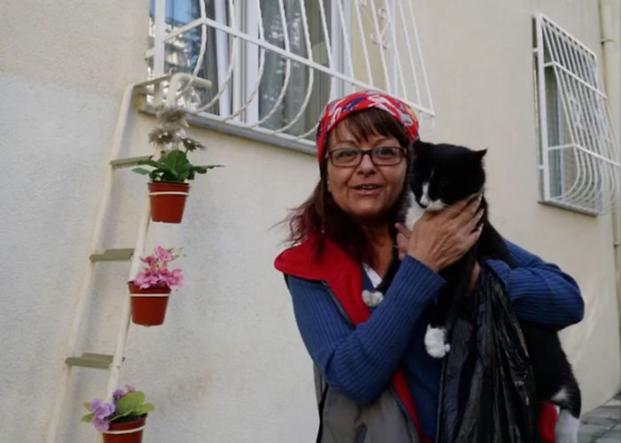 Sebnem Ilhan é uma dentista da cidade de Tekirdag, na Turquia, que tomou a decisão de construir uma escada para que gatos de rua conseguissem chegar até sua janela e ter um lugar para descansar no inverno