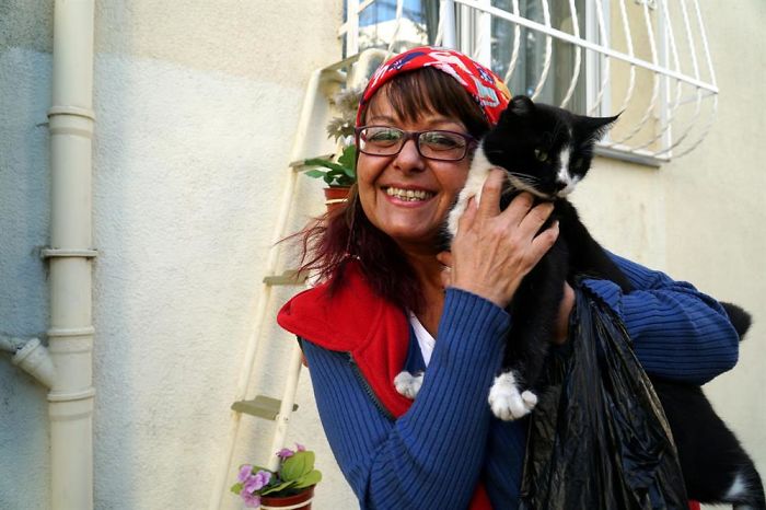 Sebnem Ilhan é uma dentista da cidade de Tekirdag, na Turquia, que tomou a decisão de construir uma escada para que gatos de rua conseguissem chegar até sua janela e ter um lugar para descansar no inverno
