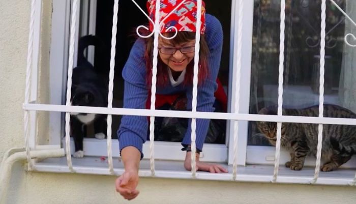 Sebnem Ilhan é uma dentista da cidade de Tekirdag, na Turquia, que tomou a decisão de construir uma escada para que gatos de rua conseguissem chegar até sua janela e ter um lugar para descansar no inverno
