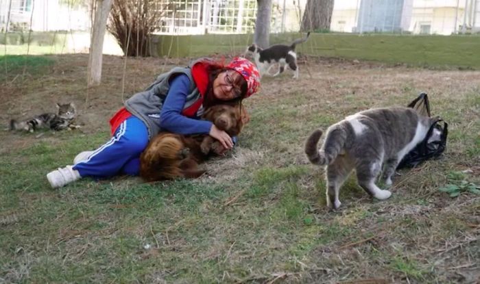 Sebnem Ilhan é uma dentista da cidade de Tekirdag, na Turquia, que tomou a decisão de construir uma escada para que gatos de rua conseguissem chegar até sua janela e ter um lugar para descansar no inverno