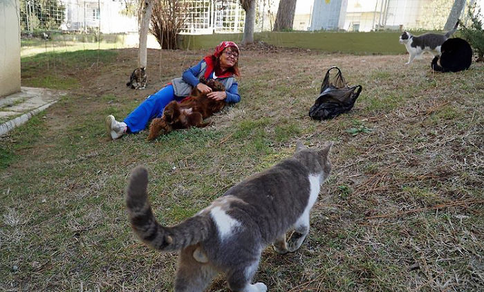 Sebnem Ilhan é uma dentista da cidade de Tekirdag, na Turquia, que tomou a decisão de construir uma escada para que gatos de rua conseguissem chegar até sua janela e ter um lugar para descansar no inverno