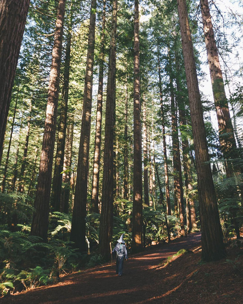 Akhil Suhas chamou sua aventura de 14 mil quilômetros de #GandalfTheGuide . Com roupa do personagem, ele fotografou pessoas que encontrava pelo caminho em paisagens de tirar o fôlego na Nova Zelândia