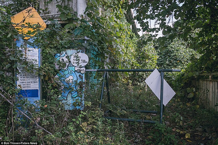 Parque está completamente tomado pelo mato