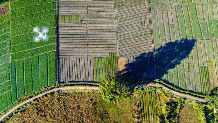 Concurso fotográfico elege as melhores imagens aéreas