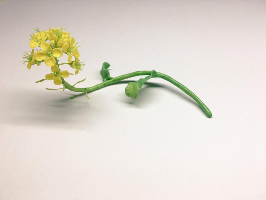 Japonesa Yuki Tsunoda cria esculturas de insetos e flores de vidro
