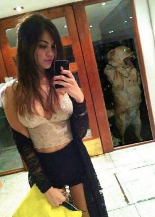 Basta olhar atentamente para perceber algum detalhe inesperado nessas fotos