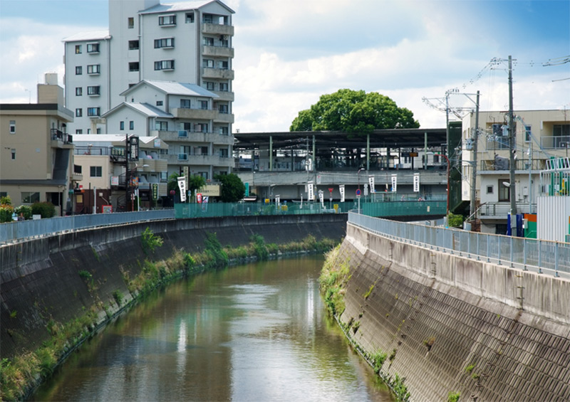Estação ferroviária no Japão é construída em torno de árvore de 700 anos