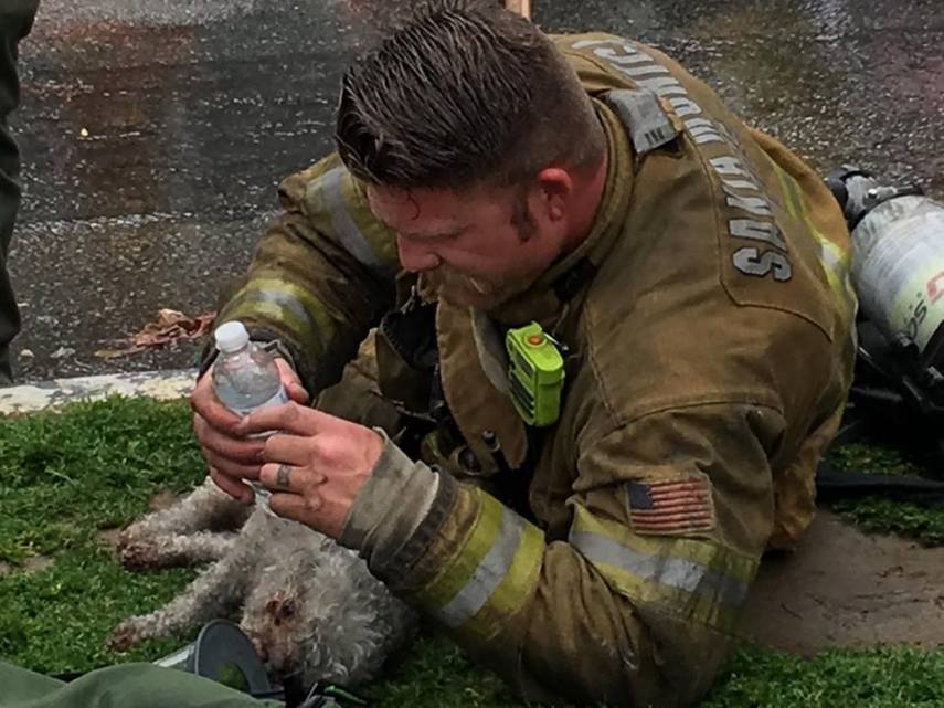 Em 20 minutos, Nalu recobrou a consciência e conseguiu respirar com uma máscara de oxigênio após desmaiar em incêndio