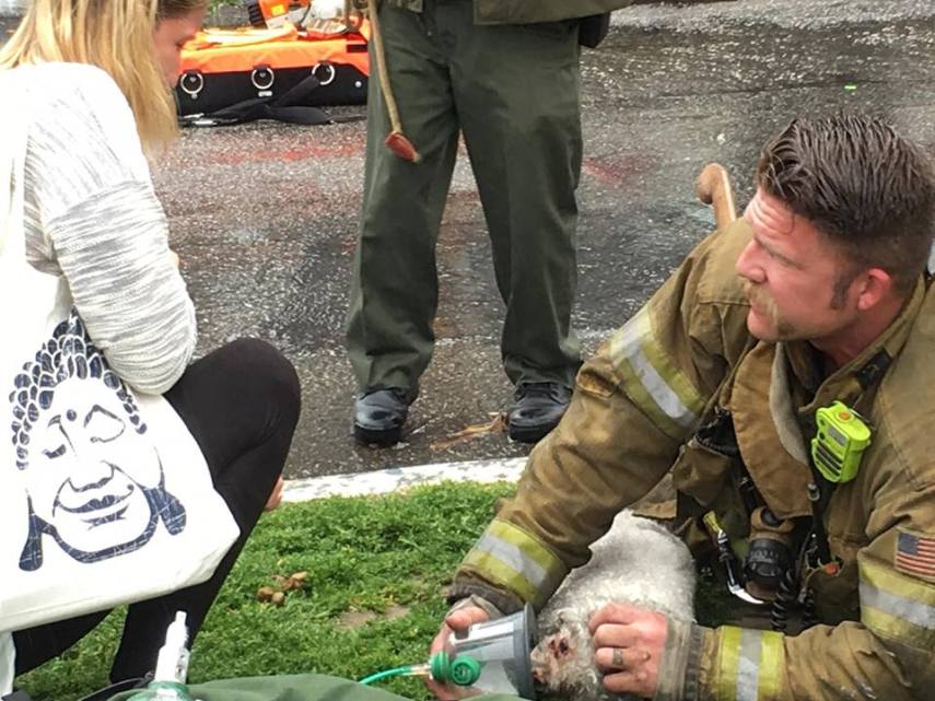 Em 20 minutos, Nalu recobrou a consciência e conseguiu respirar com uma máscara de oxigênio após desmaiar em incêndio