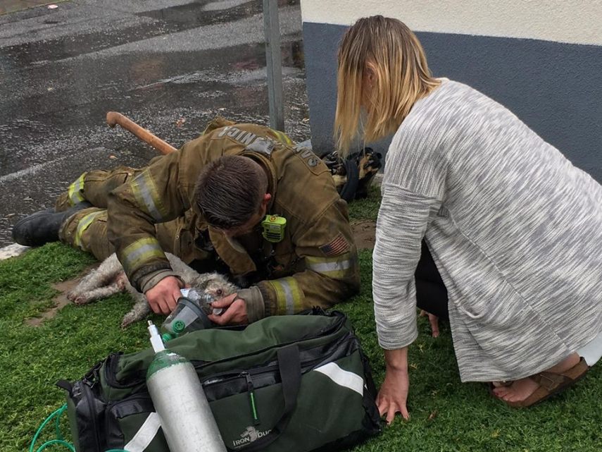 Em 20 minutos, Nalu recobrou a consciência e conseguiu respirar com uma máscara de oxigênio após desmaiar em incêndio