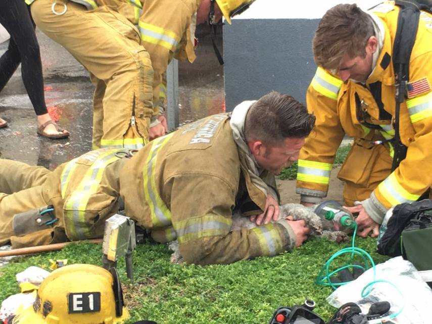 Em 20 minutos, Nalu recobrou a consciência e conseguiu respirar com uma máscara de oxigênio após desmaiar em incêndio