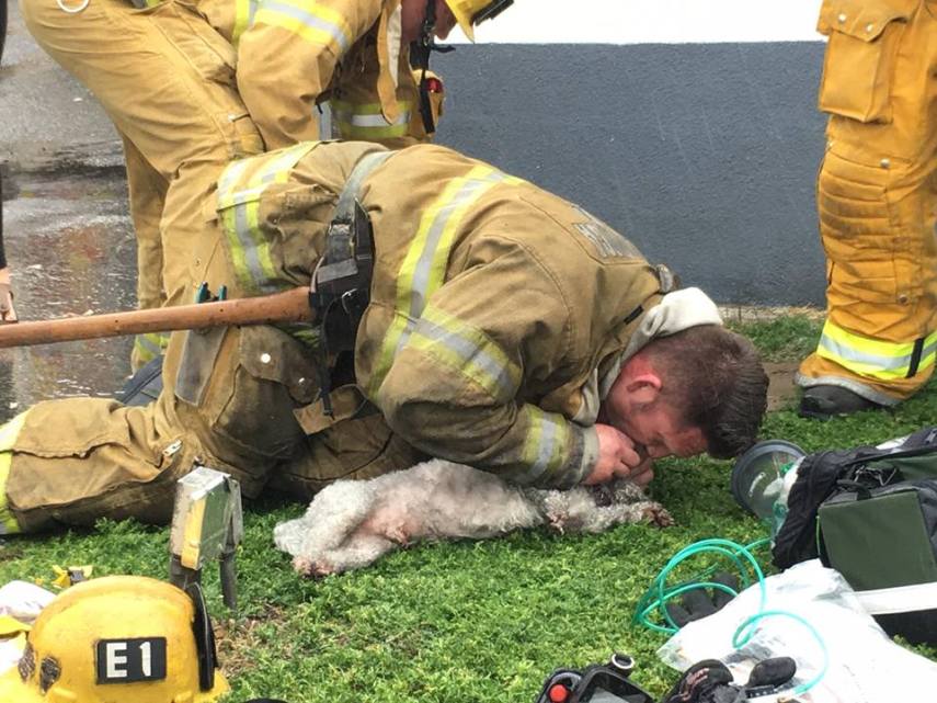 Em 20 minutos, Nalu recobrou a consciência e conseguiu respirar com uma máscara de oxigênio após desmaiar em incêndio