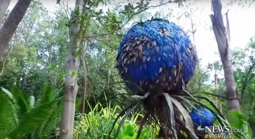 A nova expansão do parque Animal Kingdom está programada para abrir suas portas no dia 27 de março