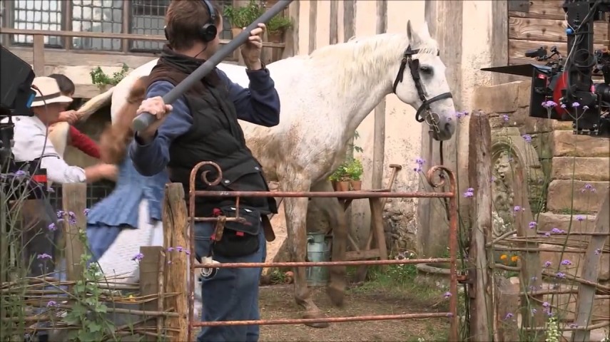 Philippe, o cavalo branco de Bela (Emma Watson) e Maurice (Kevin Kline), é interpretado por três cavalos diferentes, dois dos quais tiveram de ser pintados todos os dias