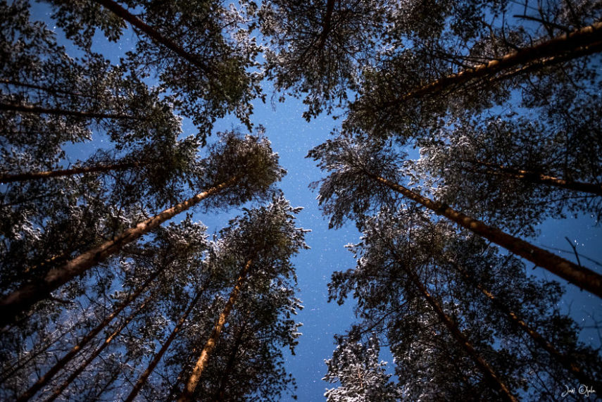 Jani Ojala é um fotógrafo que vive na Finlândia e decidiu fazer uma série de imagens que mostram a beleza da escuridão, onde é possível ver a Aurora Boreal e o céus mais estrelados possíveis